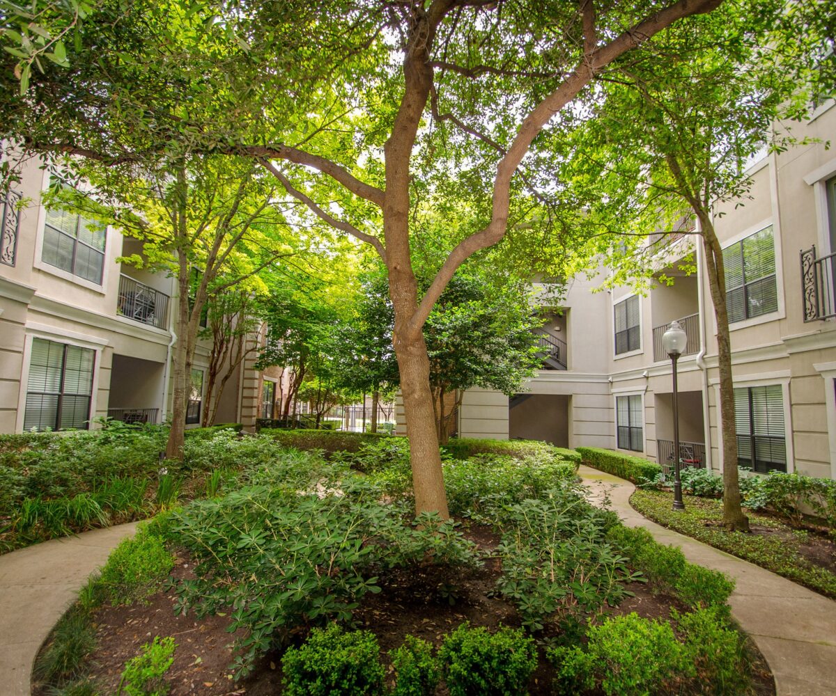 luxury dallas apartment locators