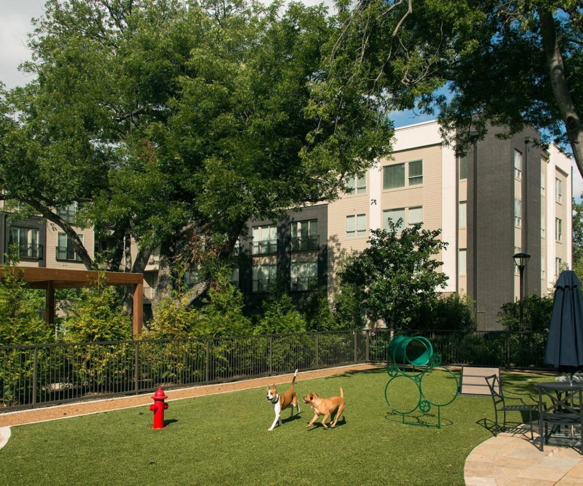apartments in dallas with dog park