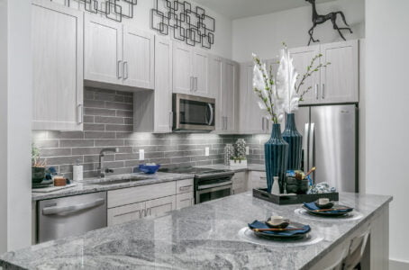 dallas pet friendly apartments